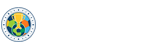 意甲直播